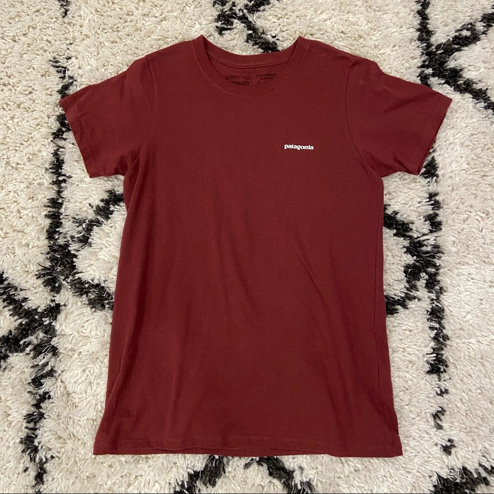 Patagonia Responsibili-tee Shirt